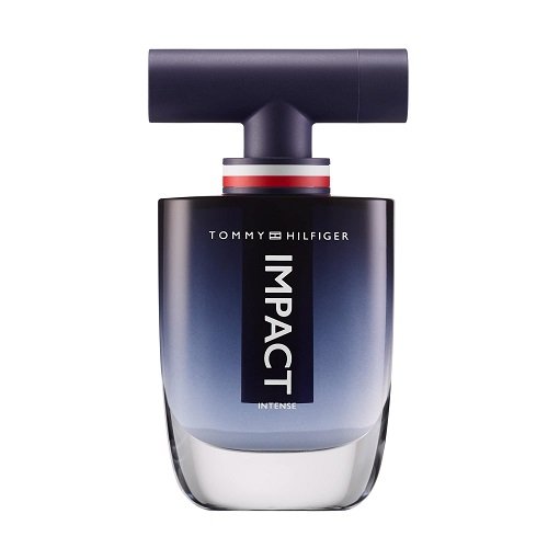 Tommy Hilfiger  0022548427514